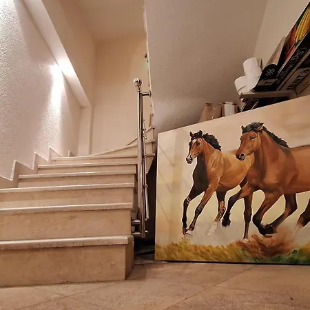 Kadiyata 게스트하우스 3*