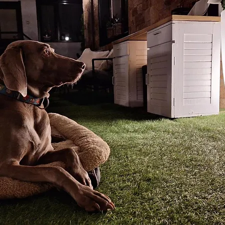 Kadiyata 게스트하우스