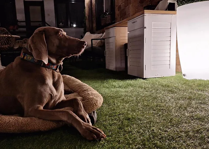 Kadiyata ゲストハウス