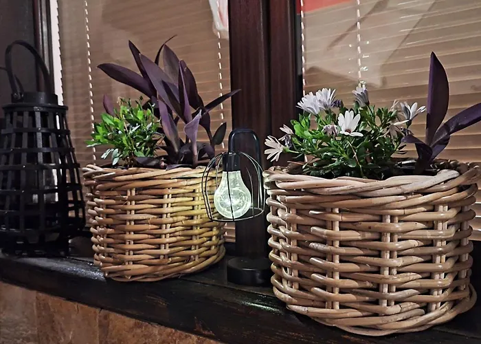 ゲストハウス Kadiyata バンスコ