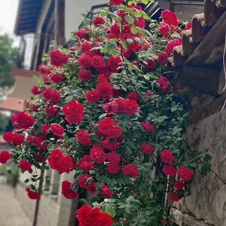 Vendégház Kadiyata 3*